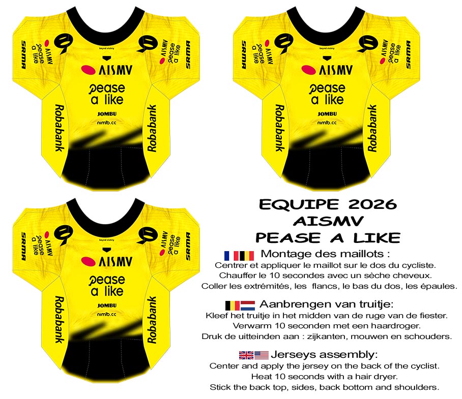 Team Visma I Lease AB